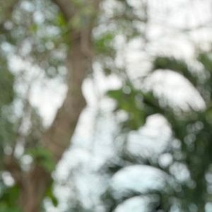 Meet your Posher, Gabriela